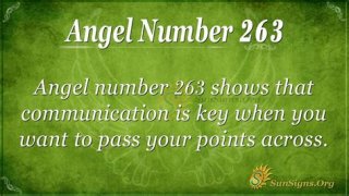 263 Angel Number Meaning - Pulptastic
