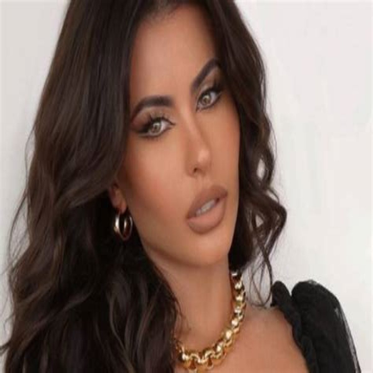 Amra Olevic - Bio, Age, Net Worth, Single, Nationality, Career, Height, Wiki