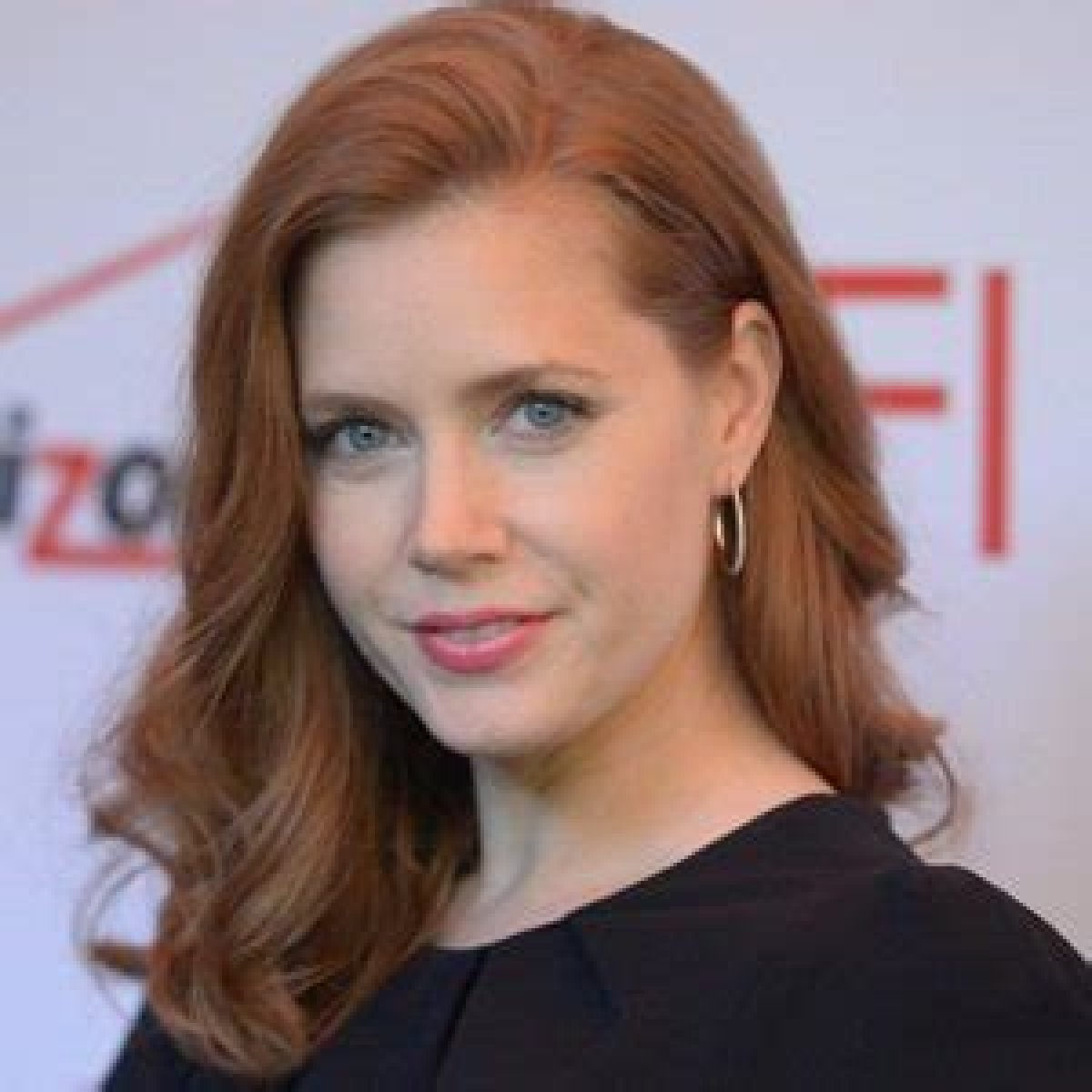 Amy Adams Age and Height, Weight, Bikini, Children, Instagram, Wiki, Wikipedia