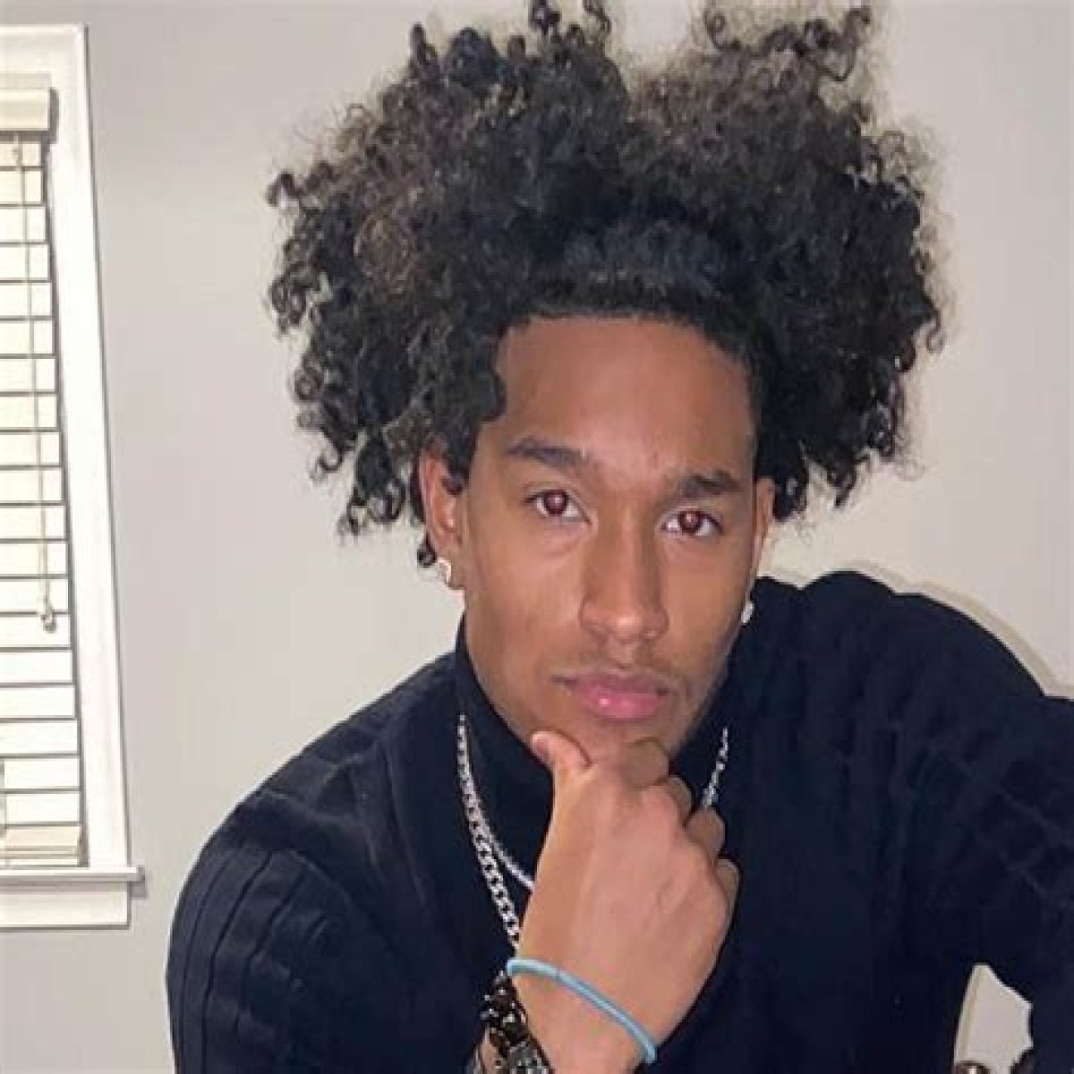 Aries Williams (TikTok Star) - Age, Birthday, Bio, Facts, Family, Net Worth, Height & More