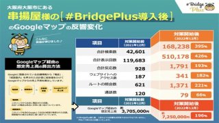 BridgePlus Manual
