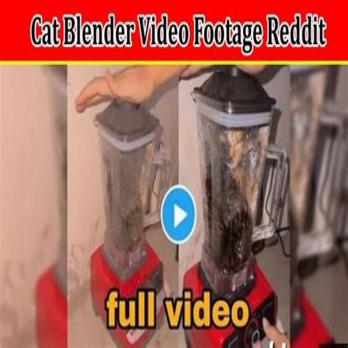 Cat Blender Video Trending On Twitter (Watch) The Talks Today