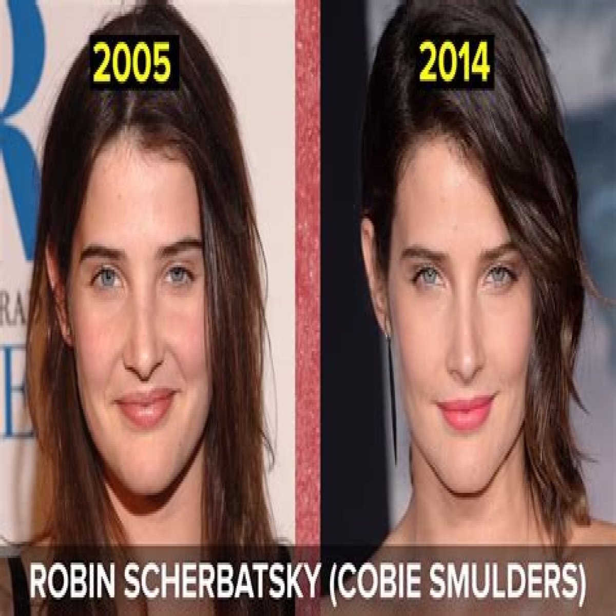 Cobie Smulders Plastic Surgery Before and After