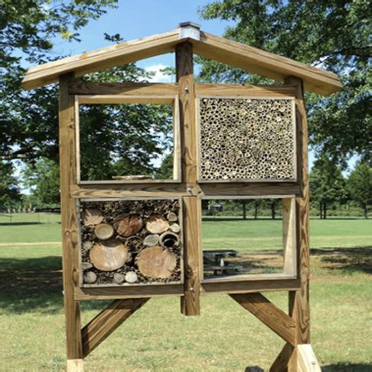 Gardening for Beneficial Bees in Mississippi