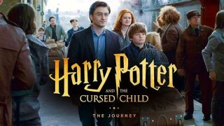 Harry Potter and The Cursed Child: The Sequel