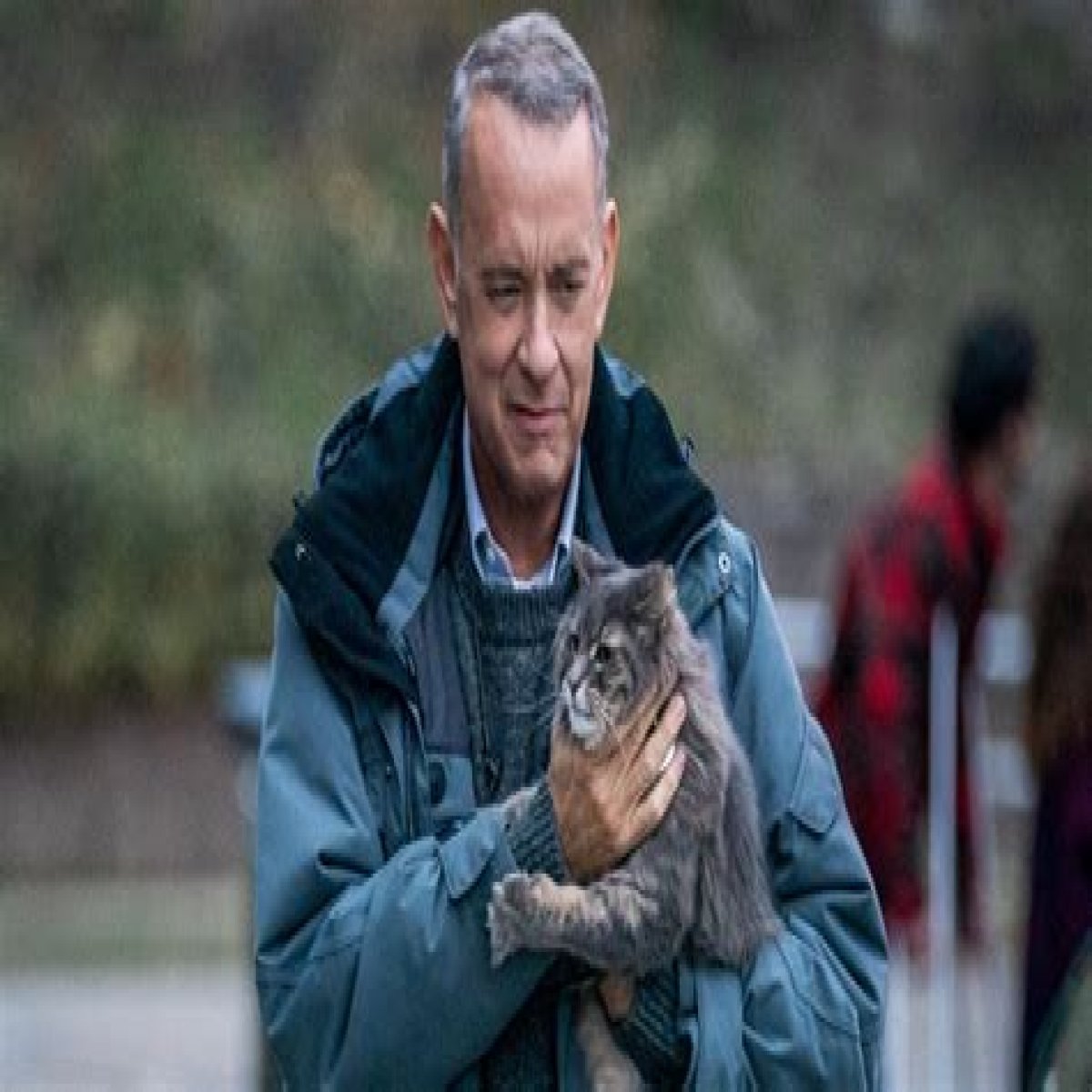 Here's When You Can Watch A Man Called Otto At Home