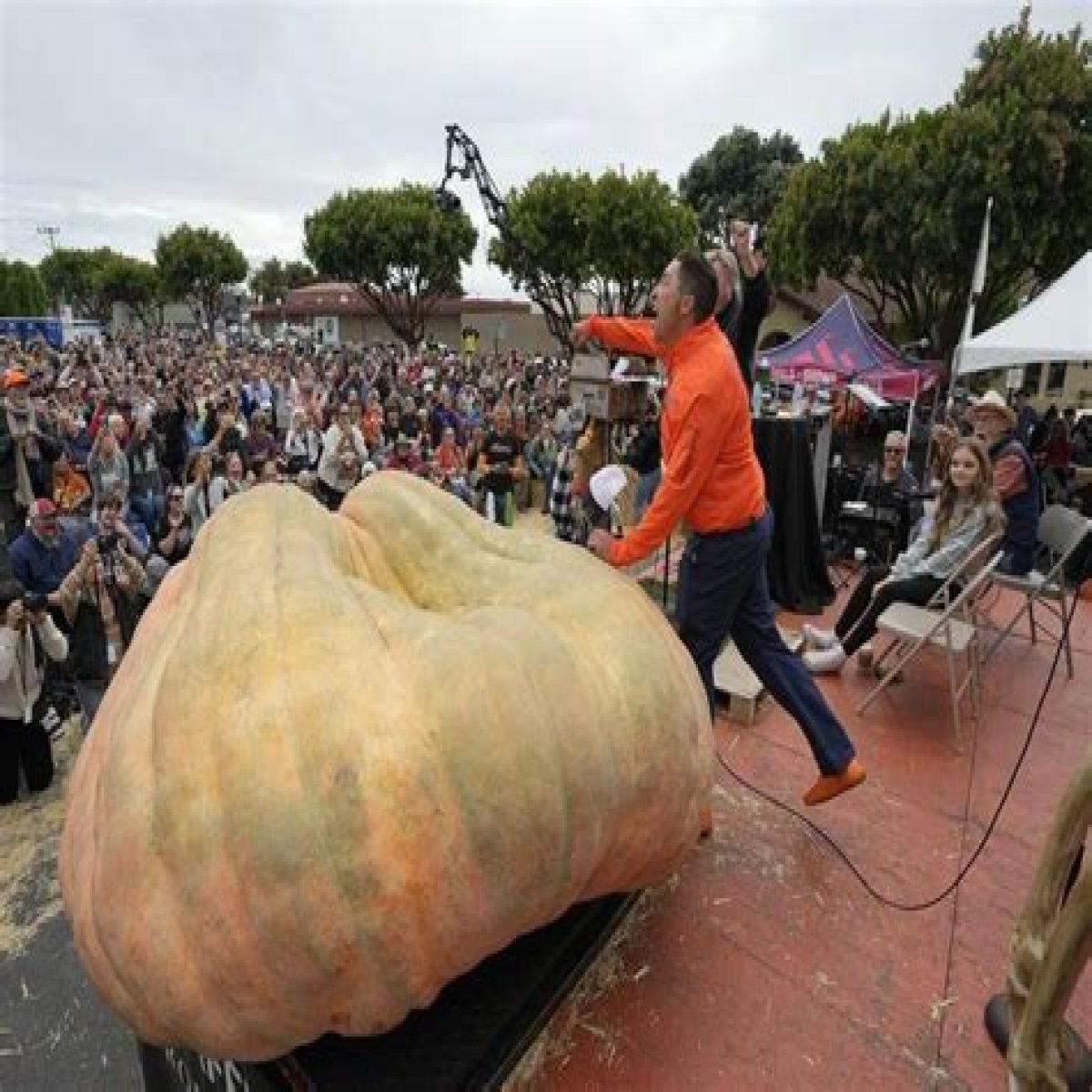 How Diana Armstrong Grew The World's Longest Gourd: A Horticultural Marvel