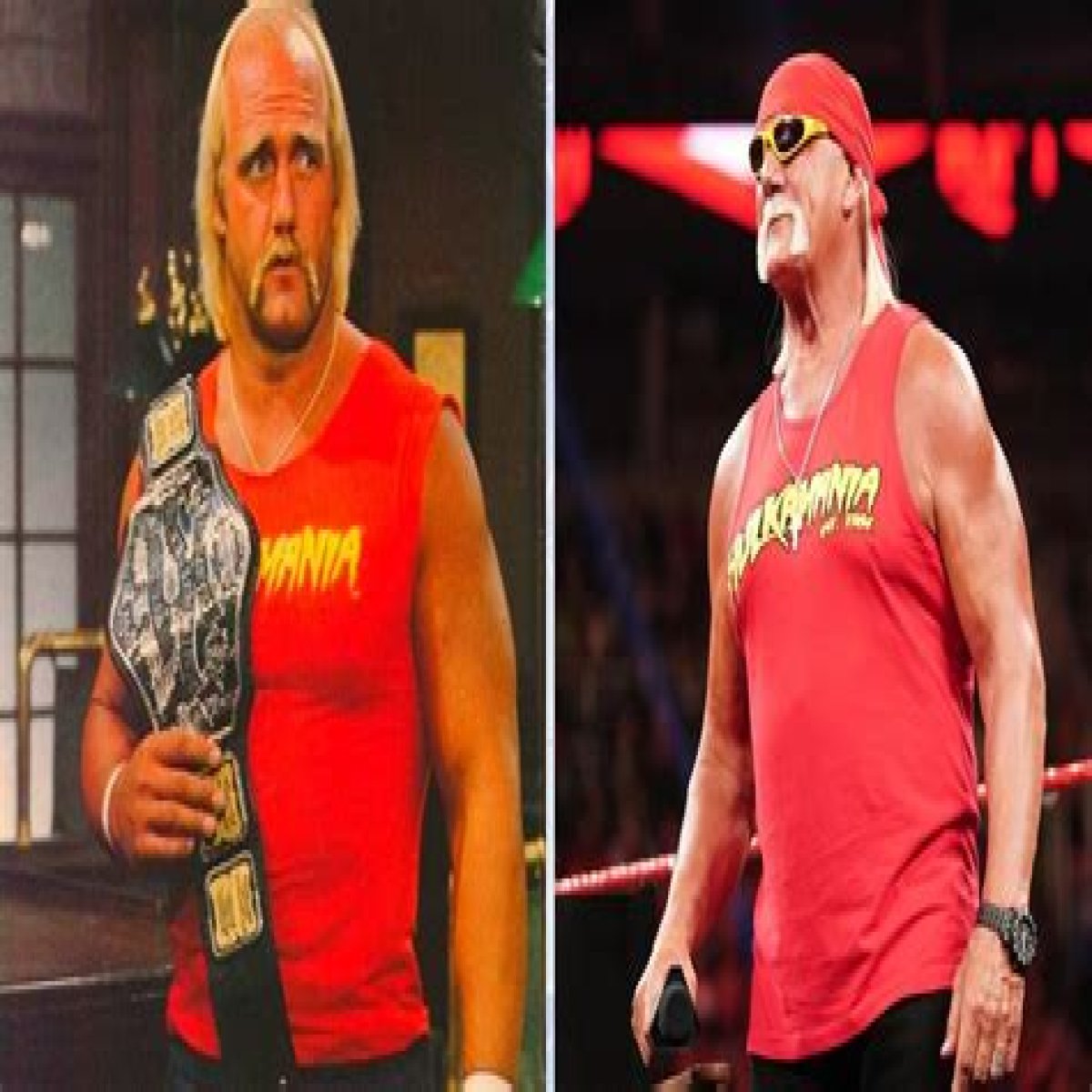 How tall is Hulk Hogan - Page 19