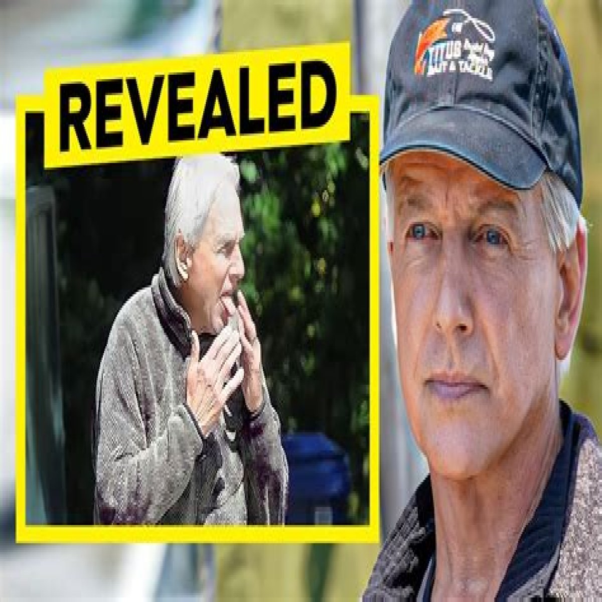 Is Mark Harmon Still Alive?