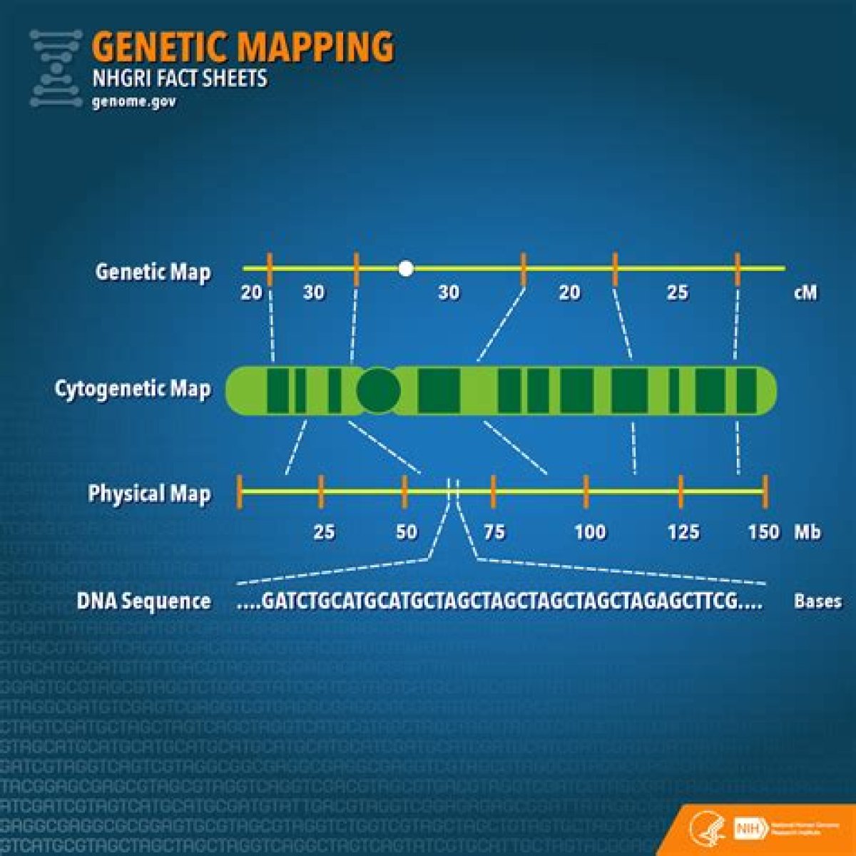 It's in your genes: Abbr.