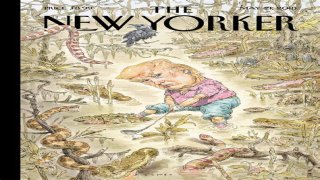 John Cuneo