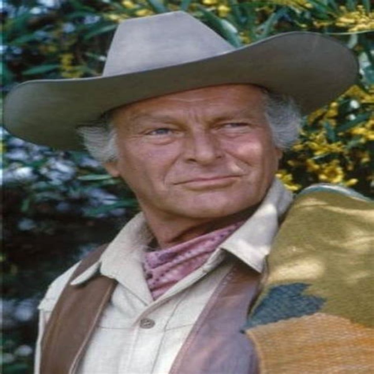 Leif Erickson - Bio, Age, height, Wiki, Facts and Family