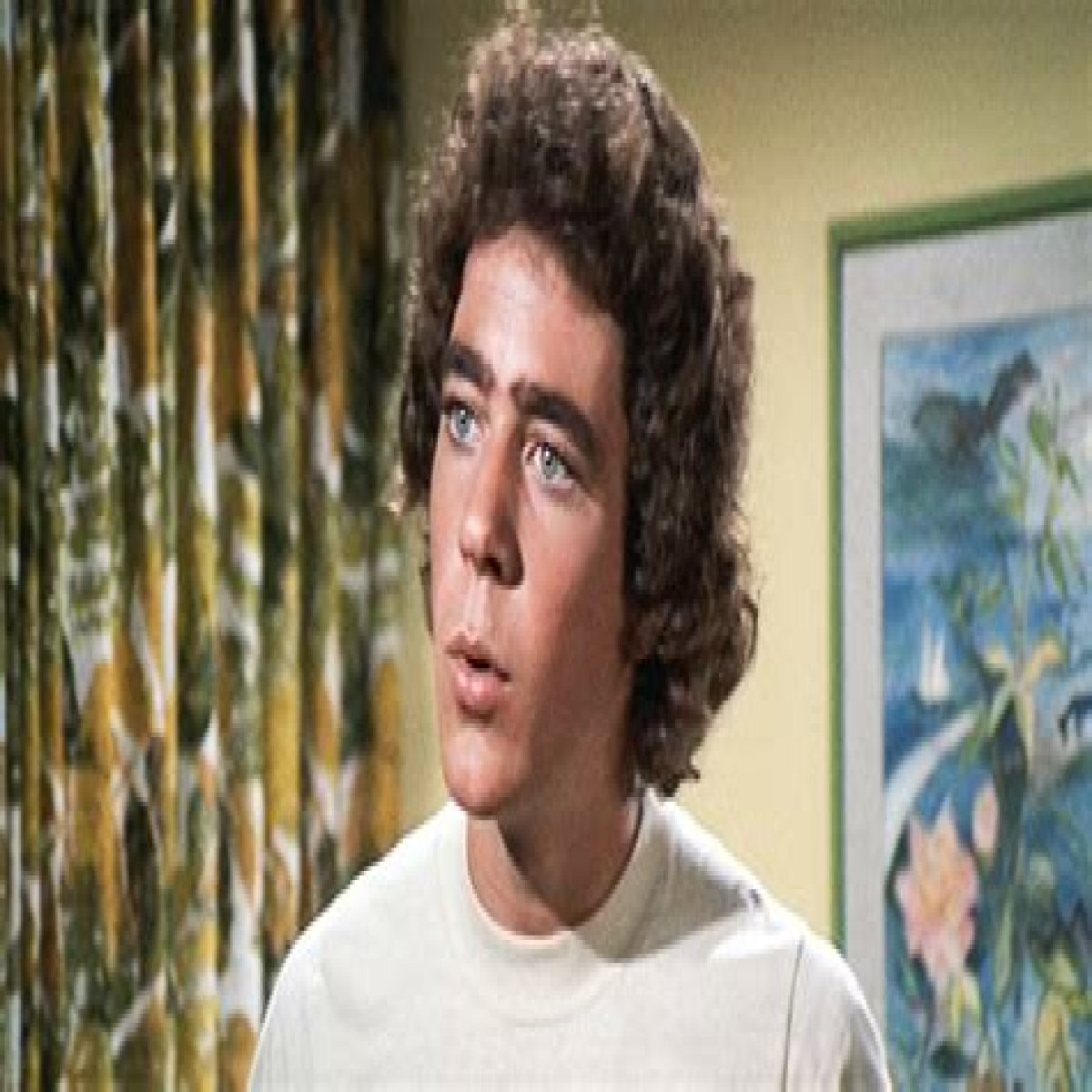 Life of 'The Brady Bunch' Kid Barry Williams after 'Very Intense Years' on the Show