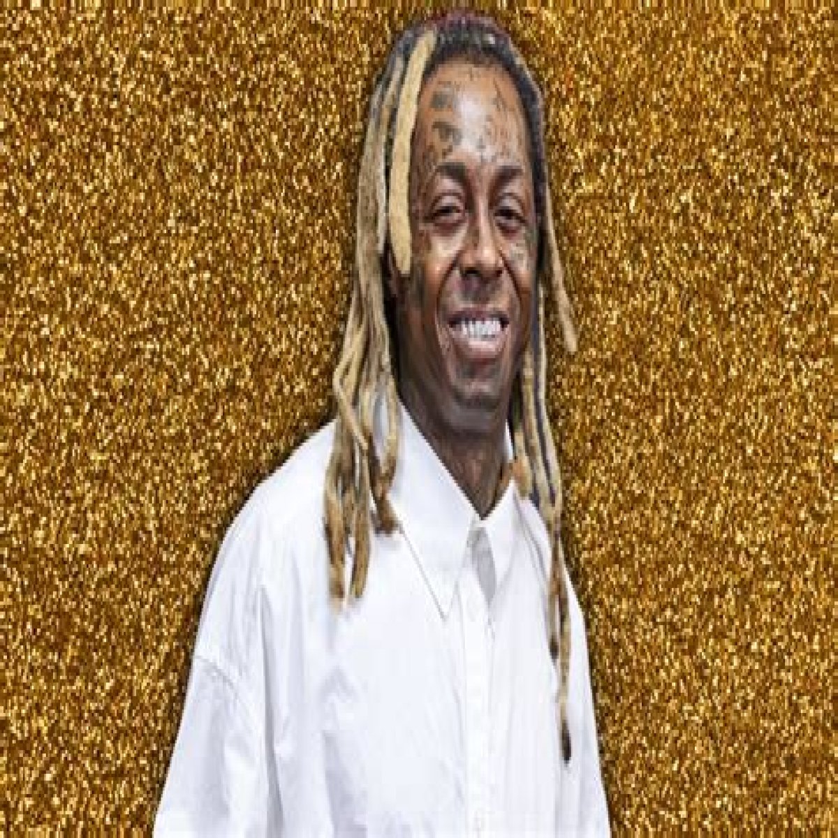 Lil Wayne Net Worth Celebrity Net Worth