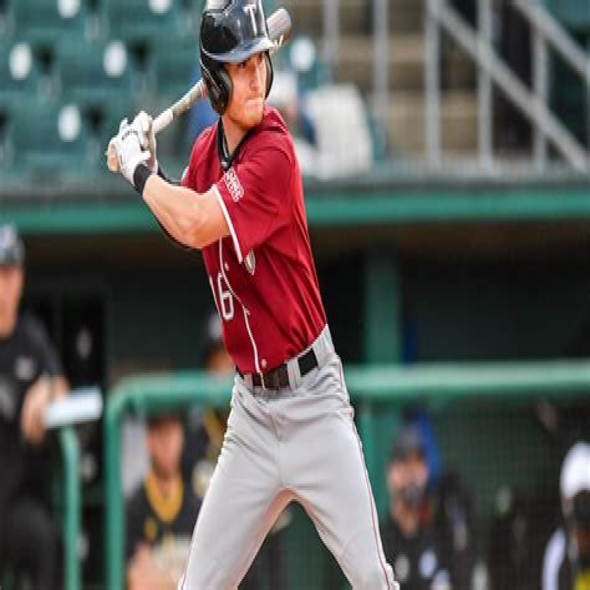 Logan Cerny Stats & Scouting Report — College Baseball, MLB Draft, Prospects
