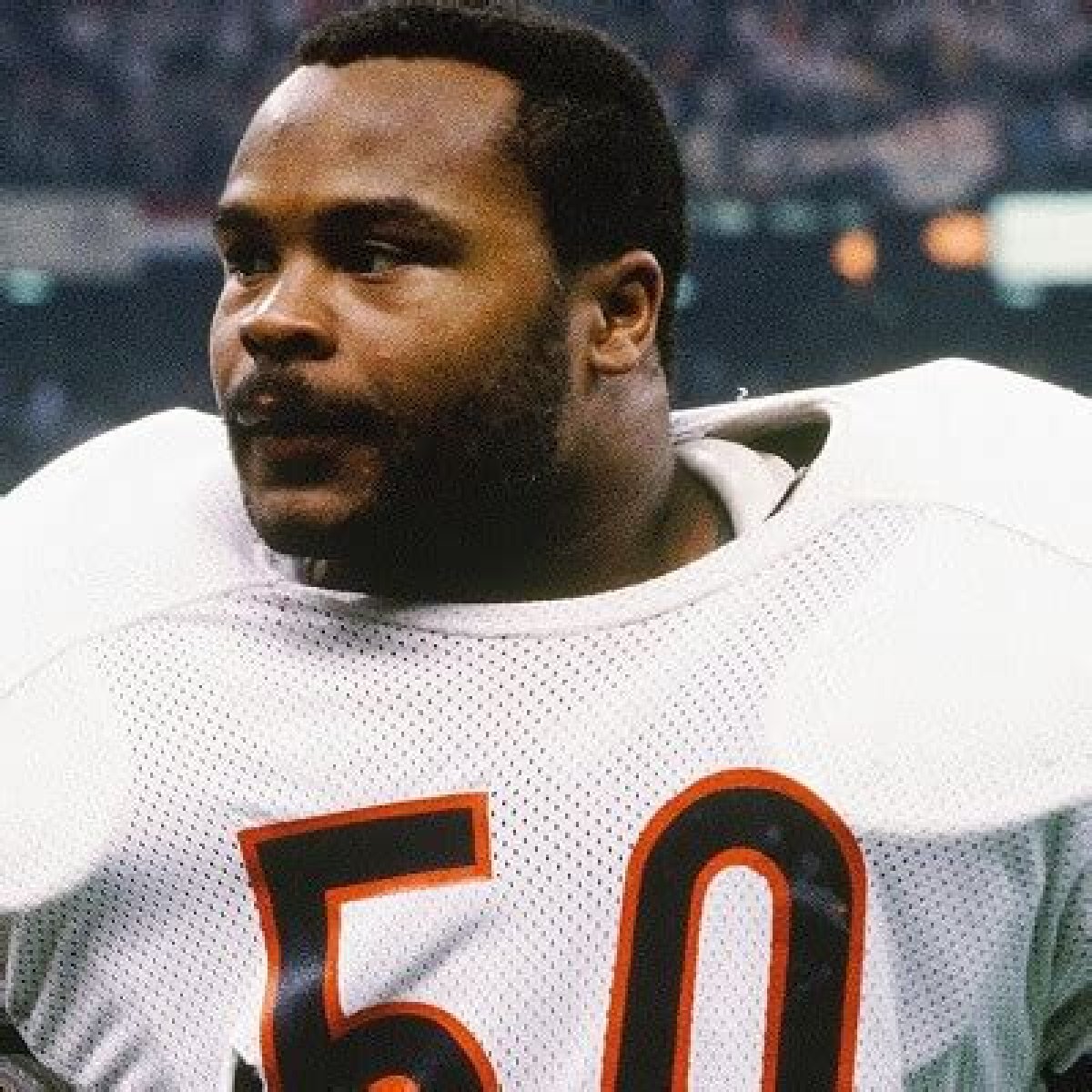 Mike Singletary Net Worth 2024