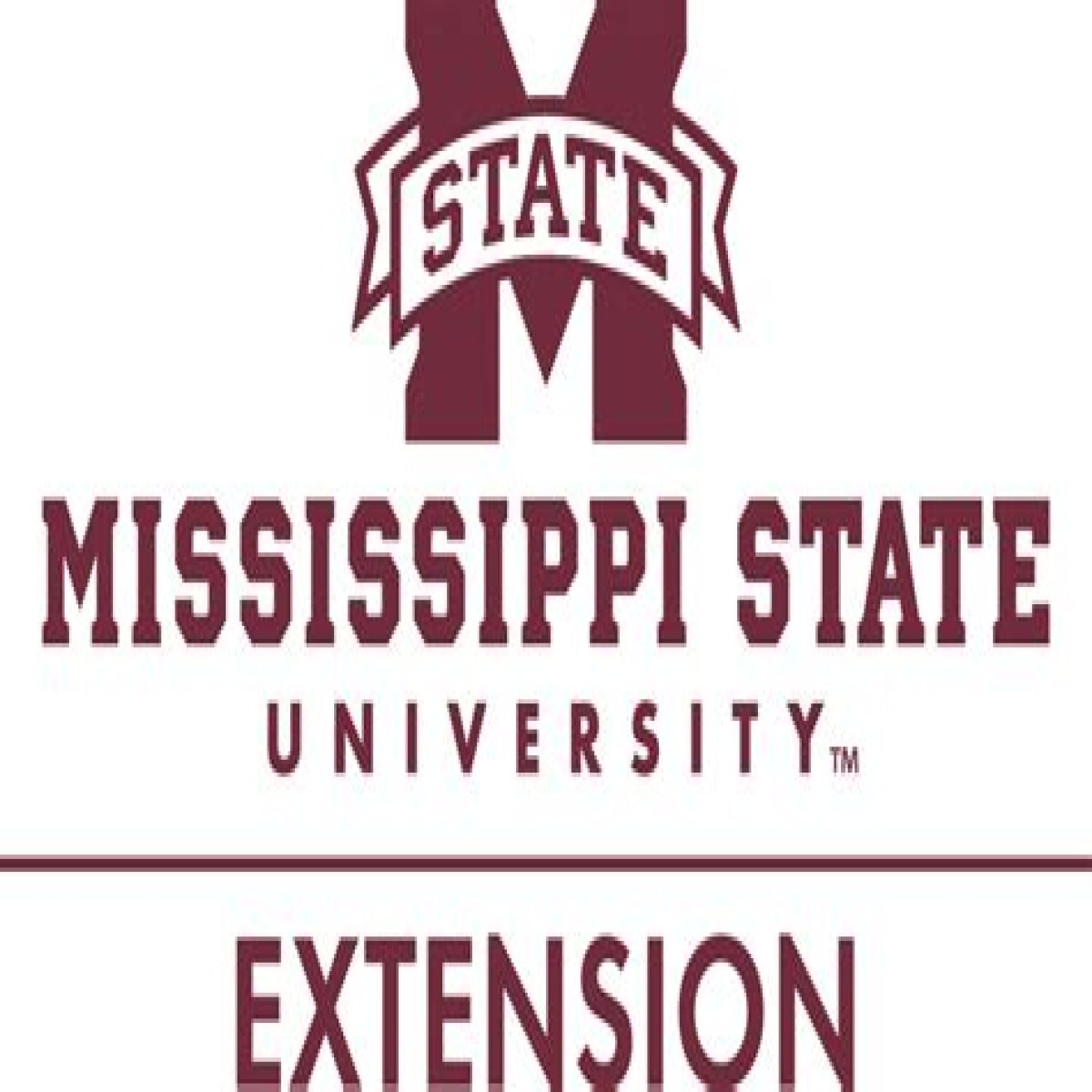 MSU Extension Head Start | Mississippi State University Extension Service