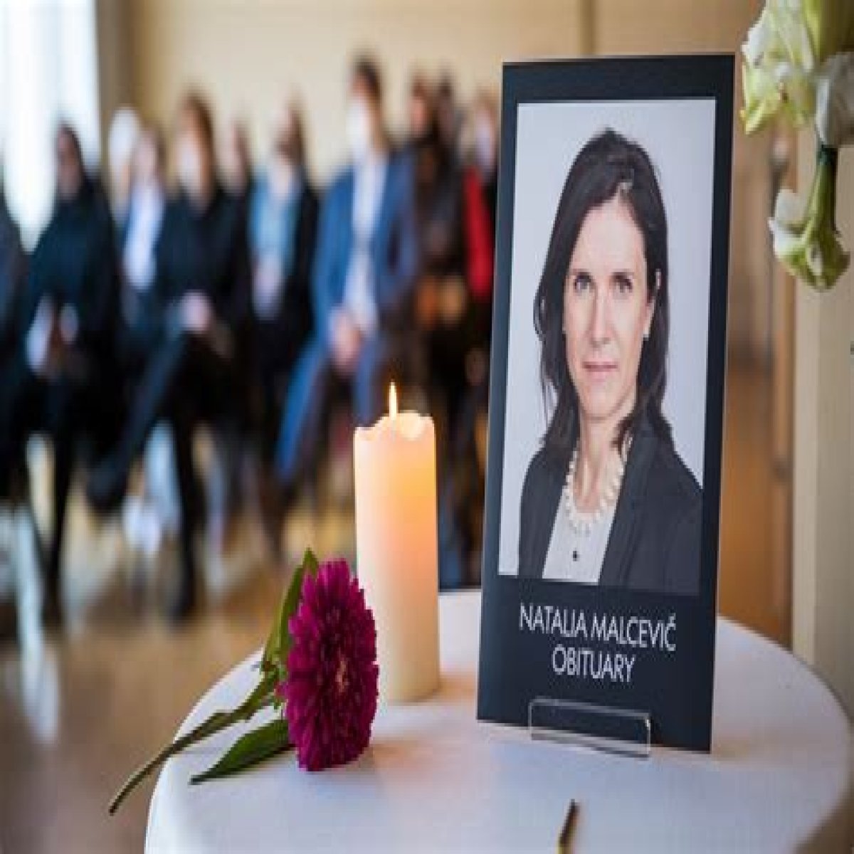 Natalia Malcevic Suicide, Binghamton NY, Binghamton University Computer Science Student Hs Died