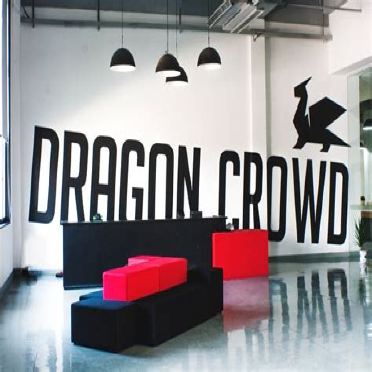 Orange County Manufacturer Dragon Crowd Sees Growth in Retail