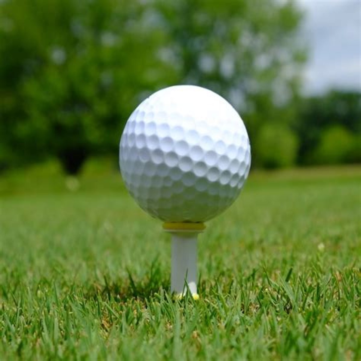 Peg used on a golf course