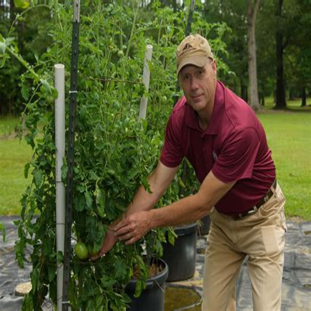 Planting Design Fundamentals | Mississippi State University Extension Service