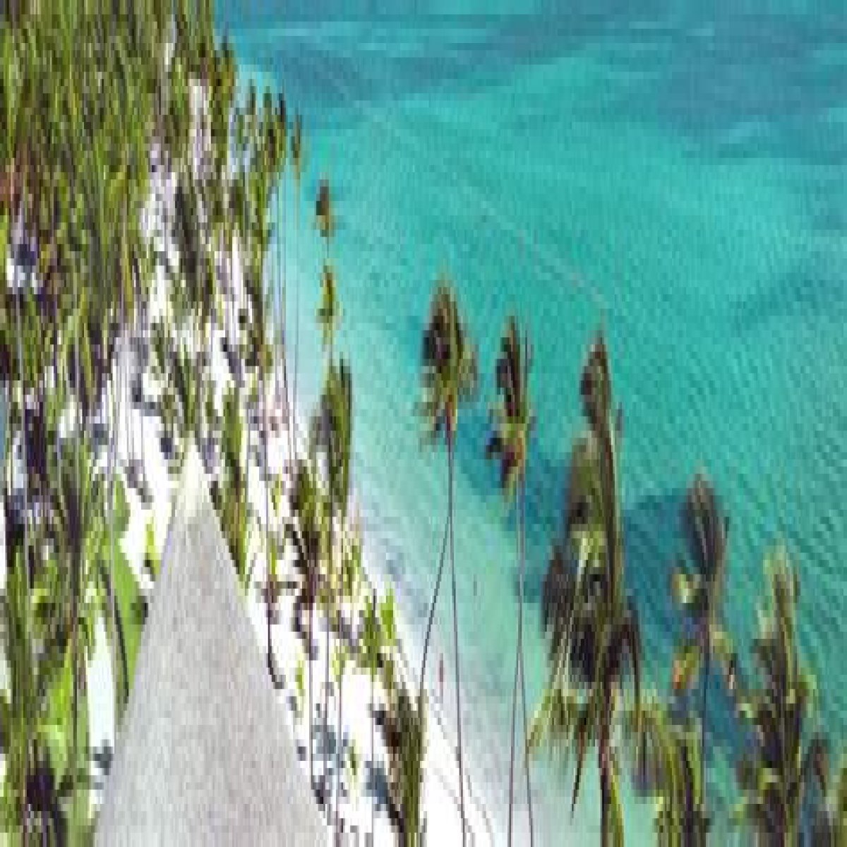 Punta Cana Cruises: Best Cruises to Punta Cana