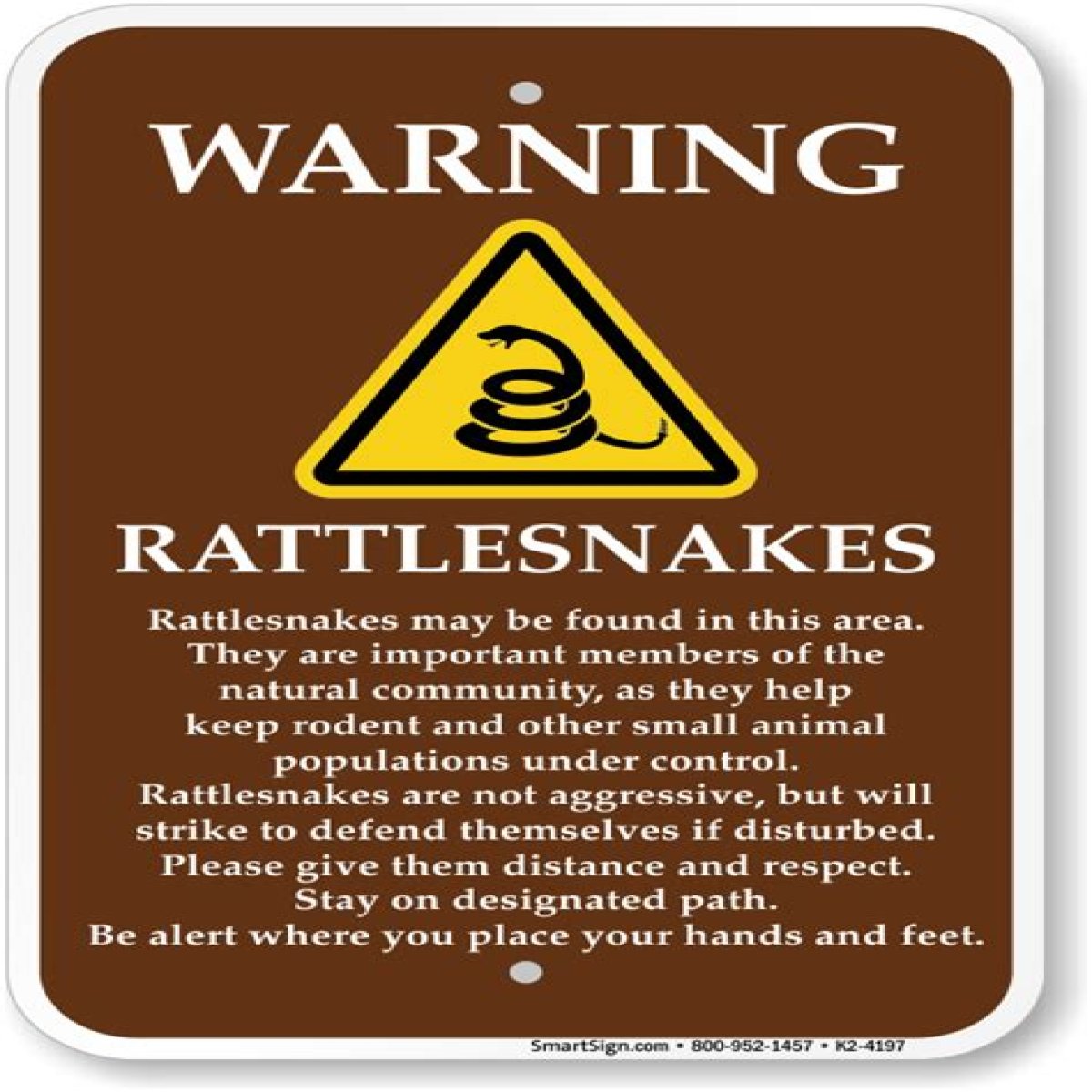 Rattlesnake's warning