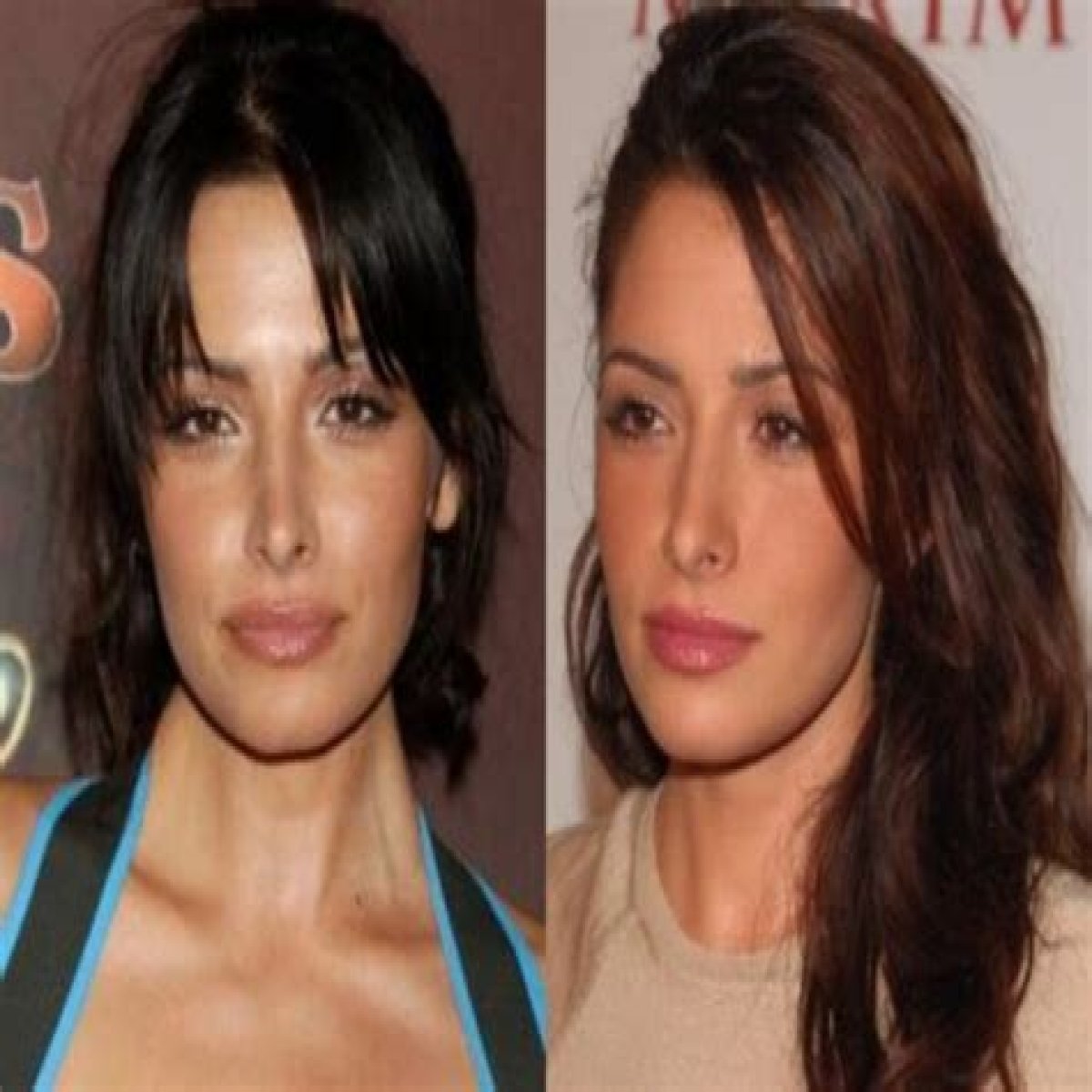 Sarah Shahi Plastic Surgery Before and After