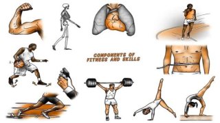 Single part of a gym exercise