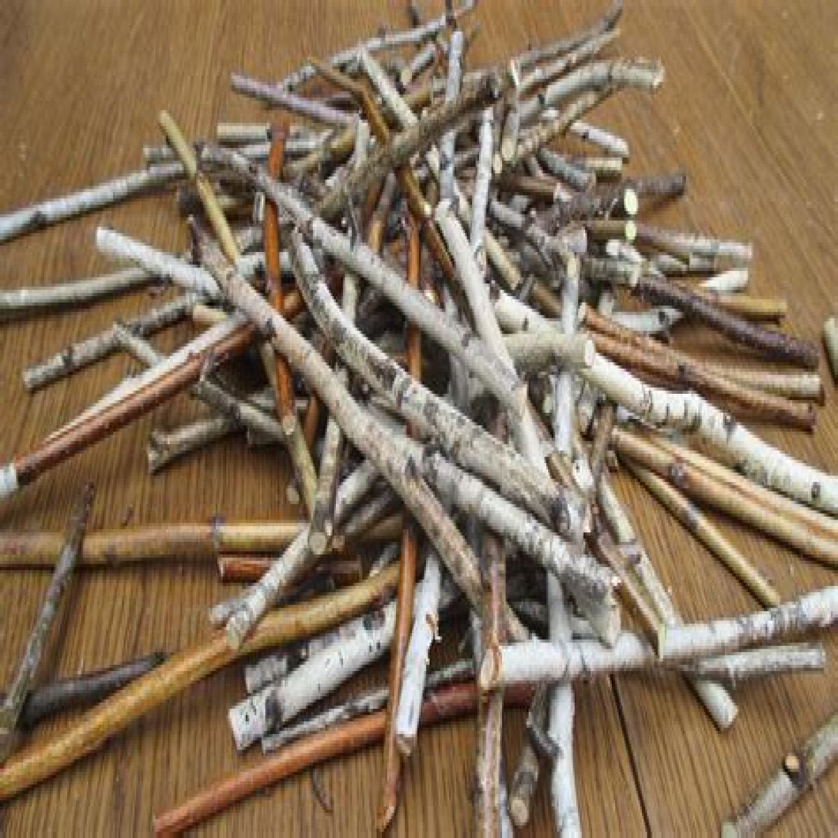 Small thin stick
