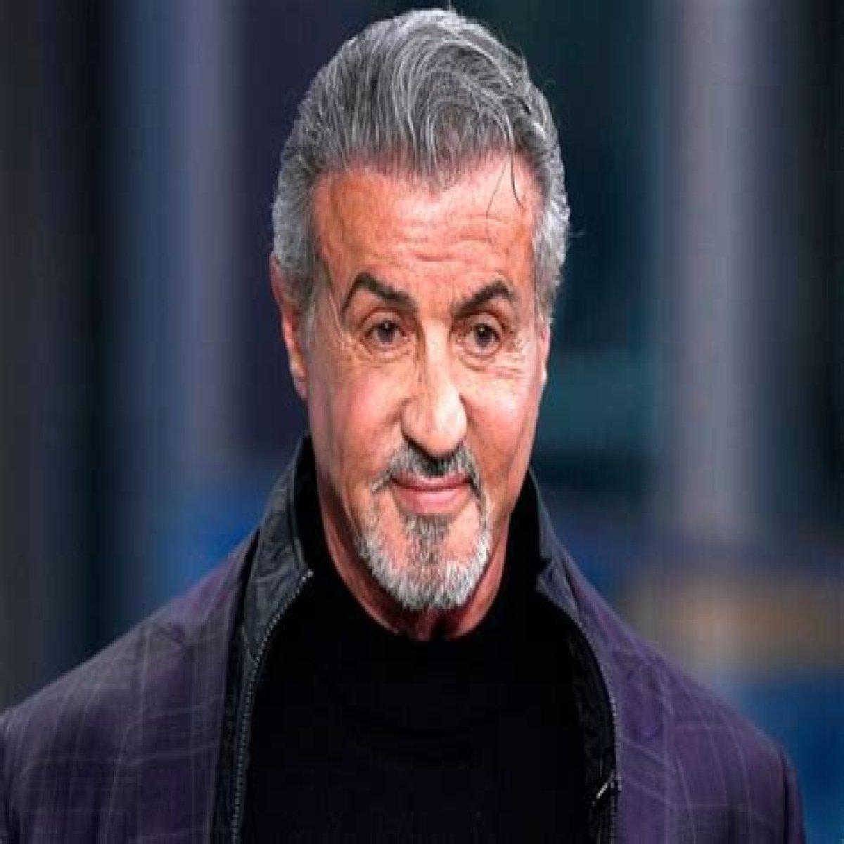 Sylvester Stallone Net Worth | Celebrity Net Worth