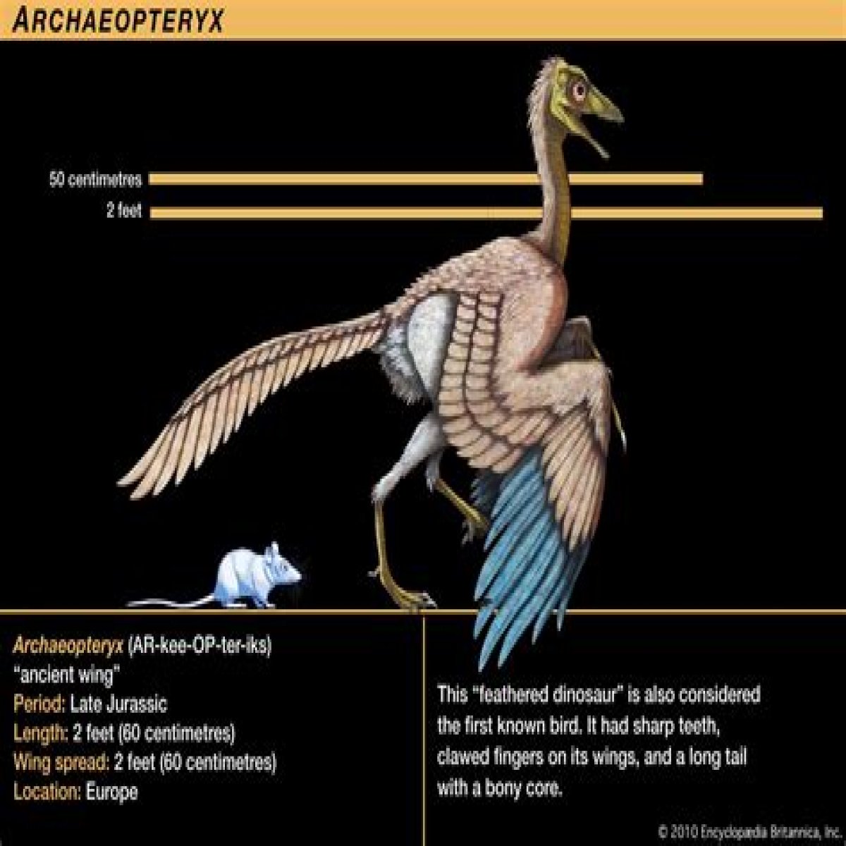 The Meaning Behind The Song: Archaeopteryx Claw by Old Time Relijun