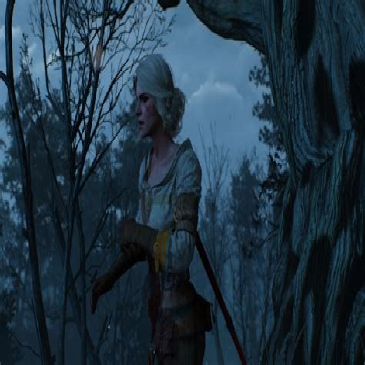 The Witcher 3 Ladies of the Wood guide and walkthrough