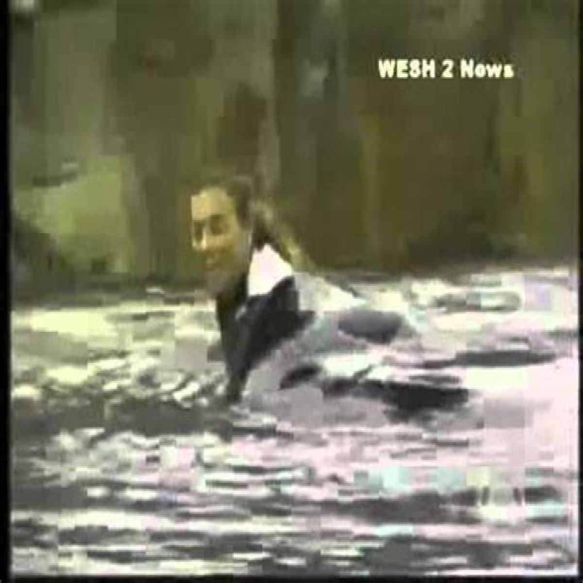 Tilikum Kills Dawn Autopsy Photos