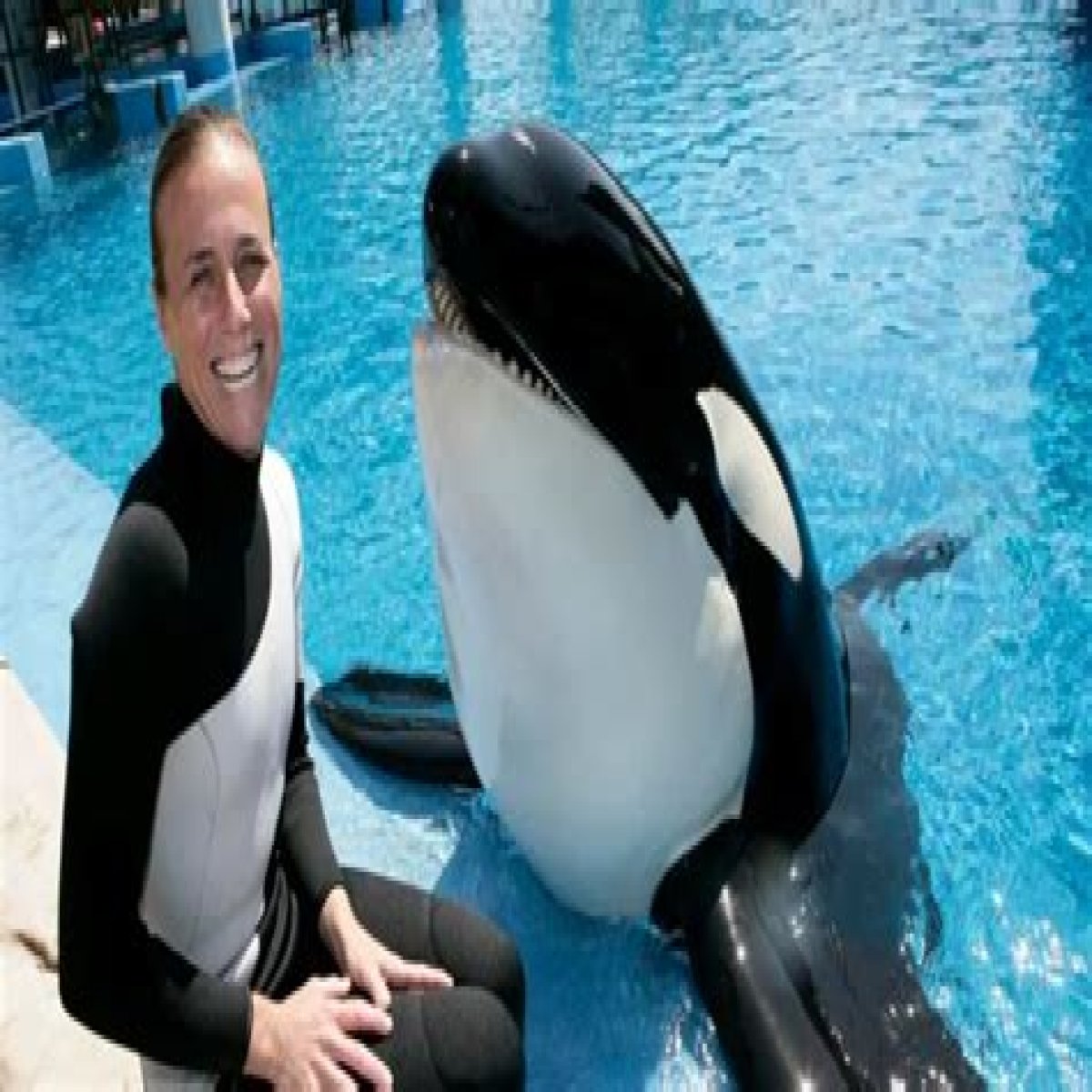 Tilikum Kills Dawn Leaked Footage: Watch Dawn Brancheau Video