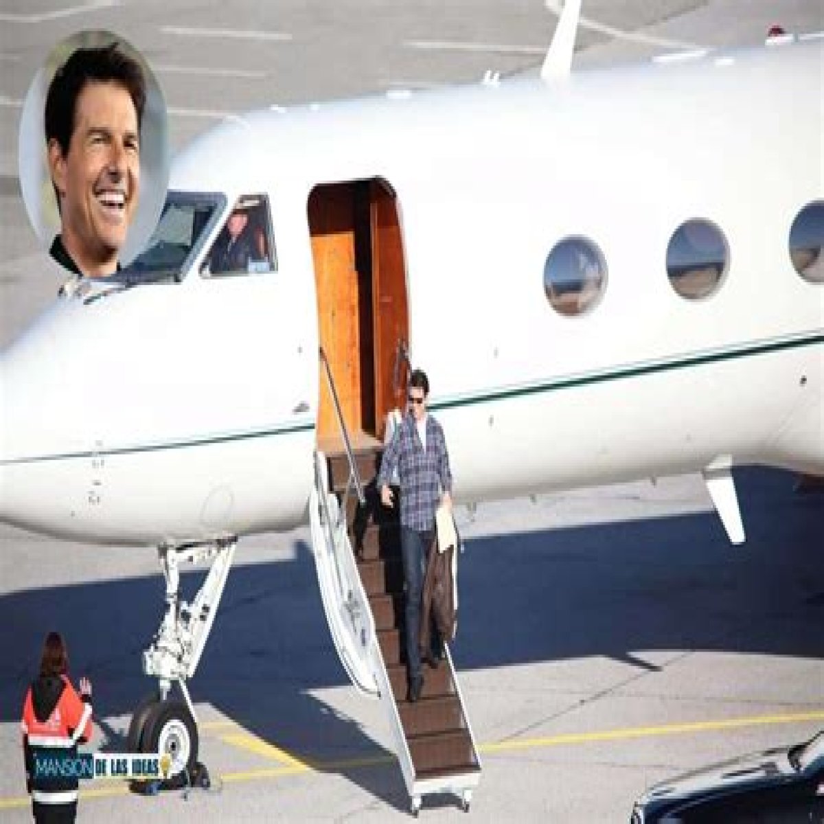 Tom Cruise had his private jet save an injured hawk… maybe