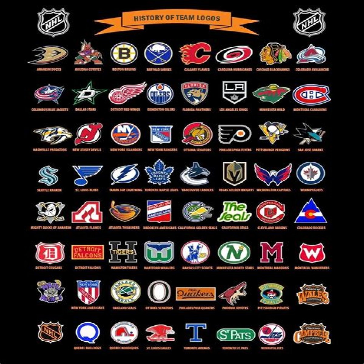 Top 10 NHL Team Logos
