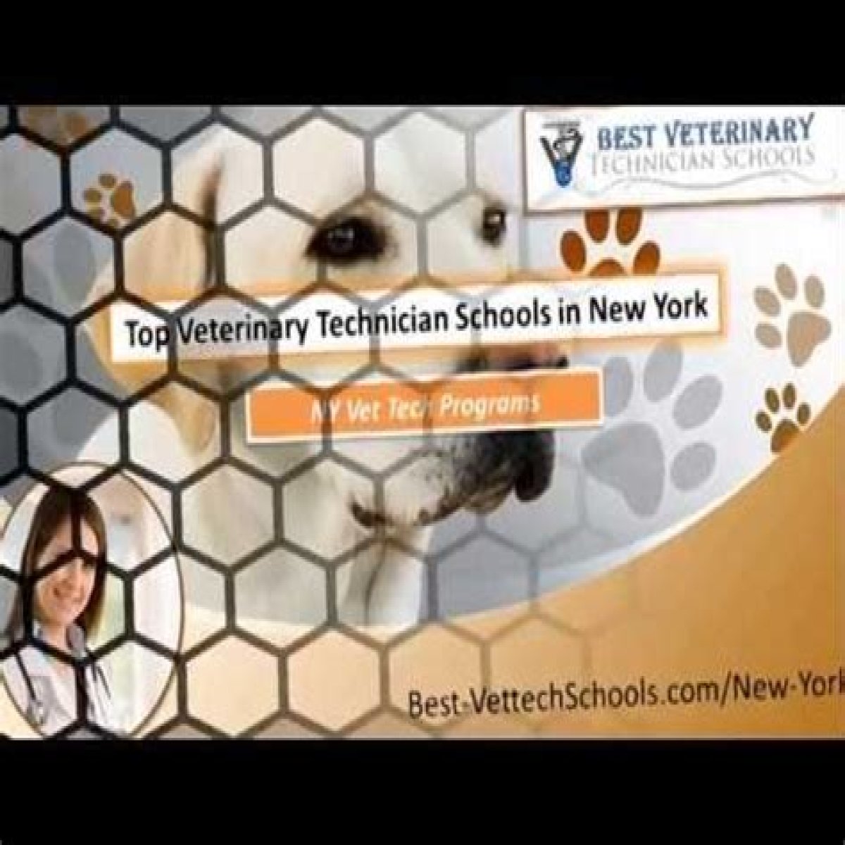Veterinary Technician Schools in Highland Ny