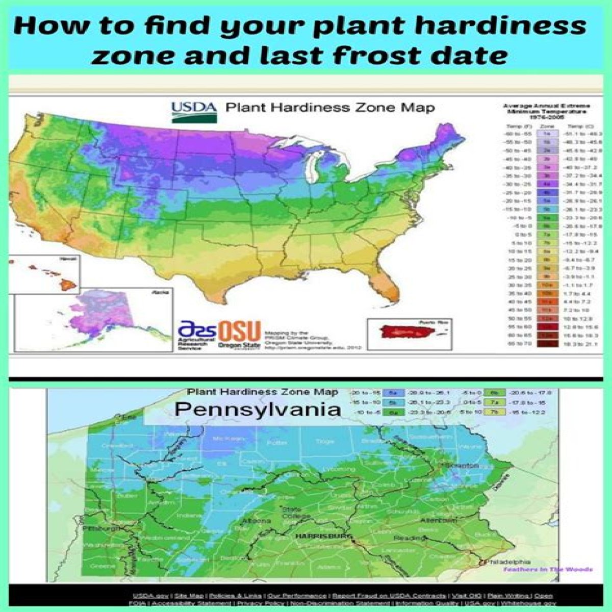 What are Mississippi's freeze dates?