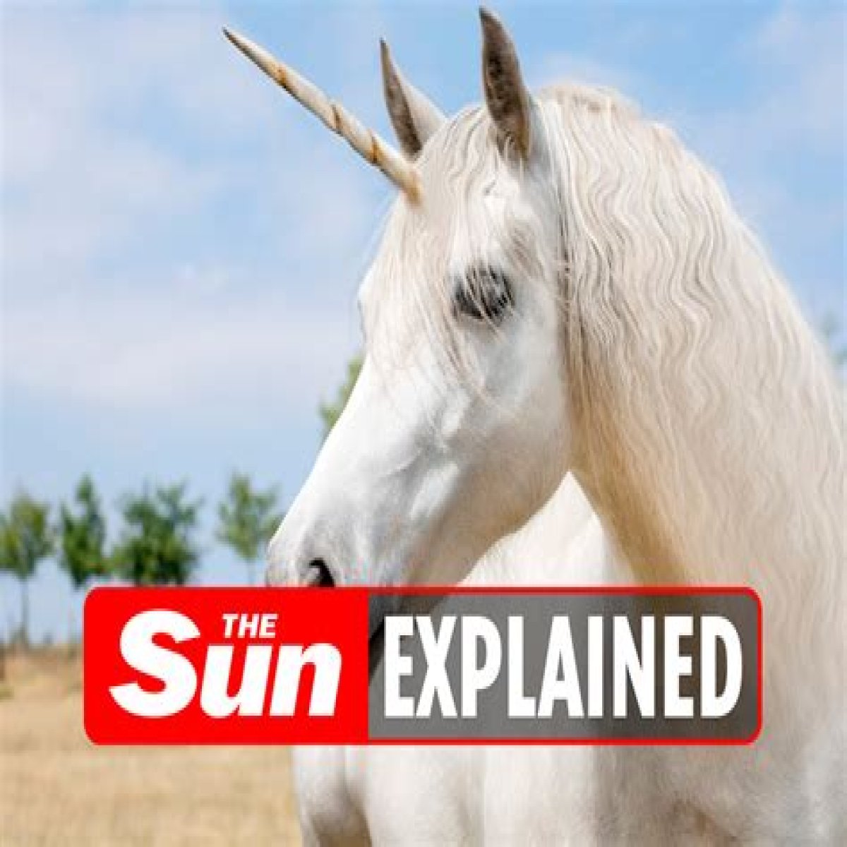 What is ‘unicorn hunting’? – The US Sun