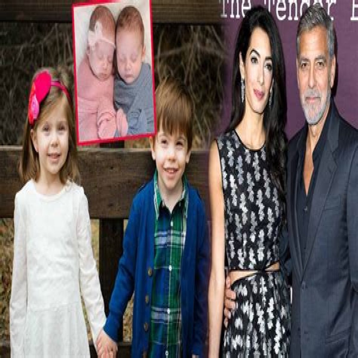 Who are George Clooneys Parents? George Clooney Biography, Parents Name, Nationality and More