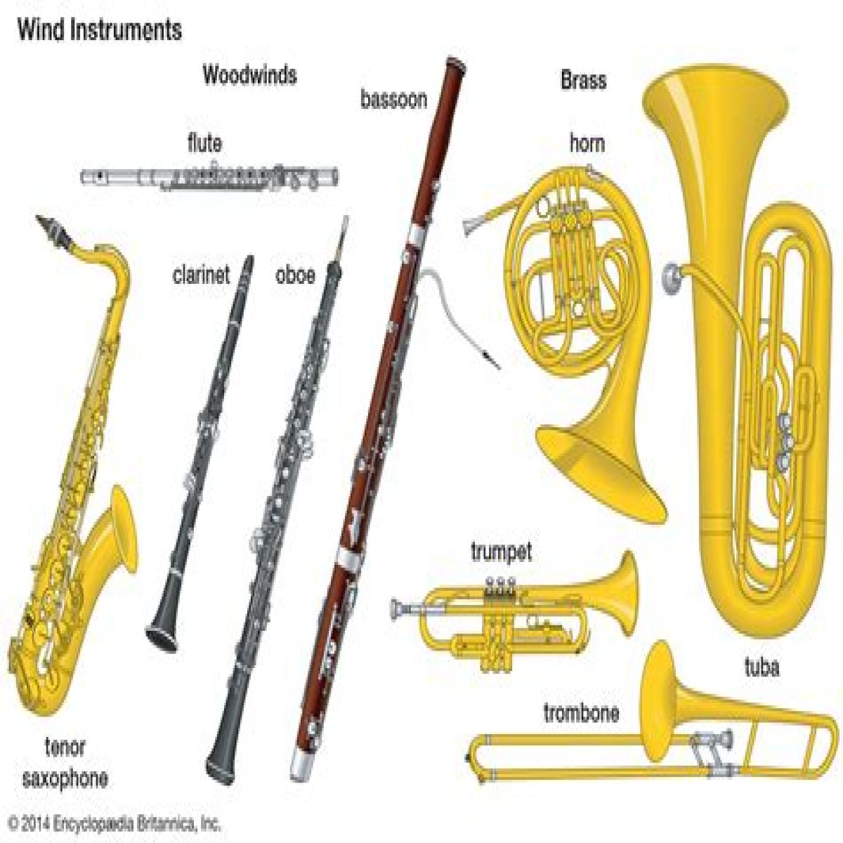 Wind instrument related to the bassoon