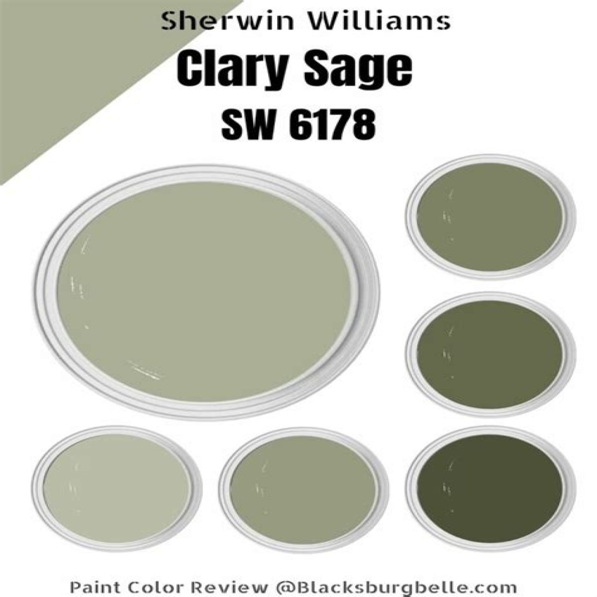 Word that can follow sage and paint