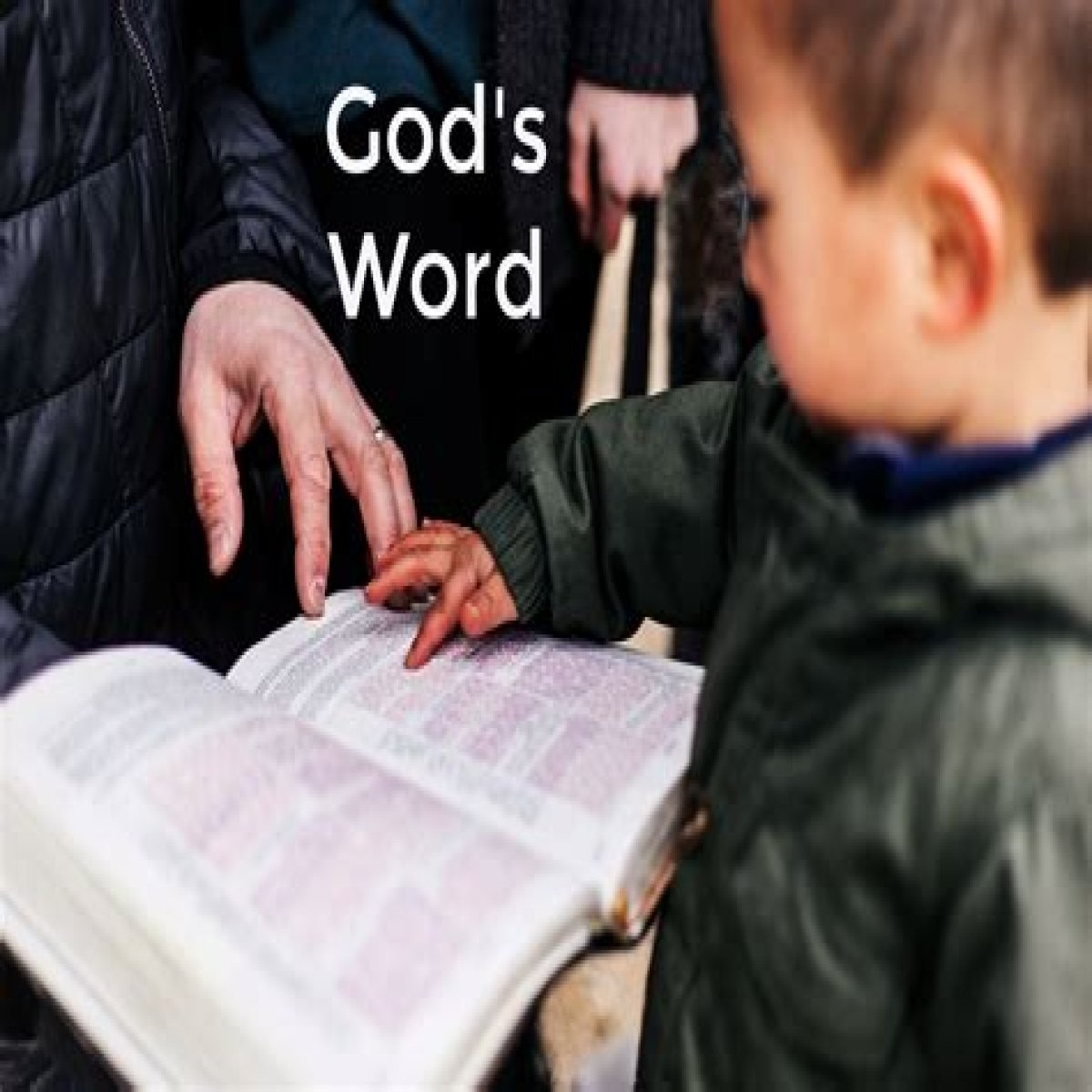 Words often spoken when touching a Bible: 2 wds.
